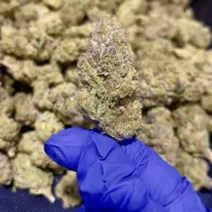 Red Headed Stranger THCa Flower Sativa