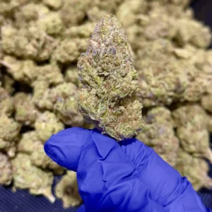Red Headed Stranger THCa Flower Sativa