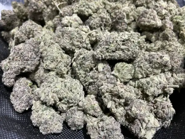 Krystal Kush THCa Flower Sativa