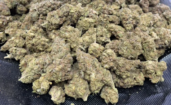 Billy Kimber THCa Flower Indica