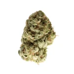 Jack’s Cleaner THCa Flower Sativa