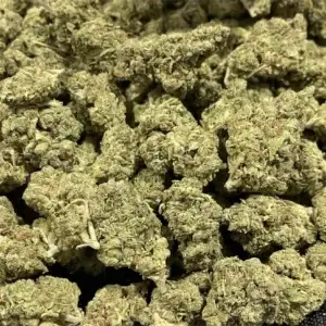 Jamaican Dream THCa Flower Sativa
