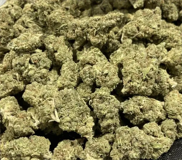 Jamaican Dream THCa Flower Sativa