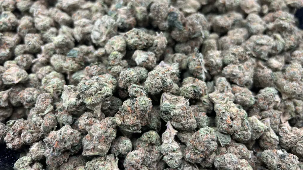 Mochi Mousse Smalls THCa Flower Hybrid