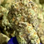 XXX OG THCa Flower Indica