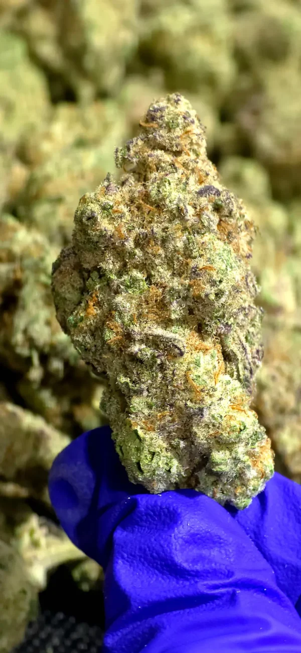 XXX OG THCa Flower Indica