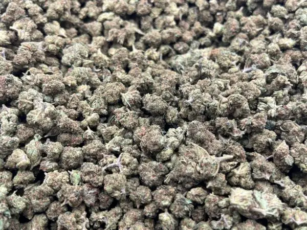 Obama Runtz Smalls THCa Flower Indica