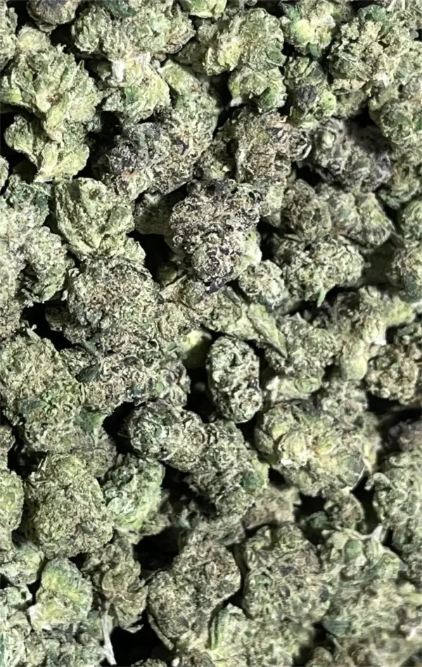 Runtz x Alien Mintz Smalls THCa Flower Hybrid