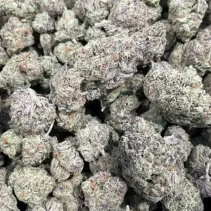 Purple Gumbo THCa Flower Hybrid