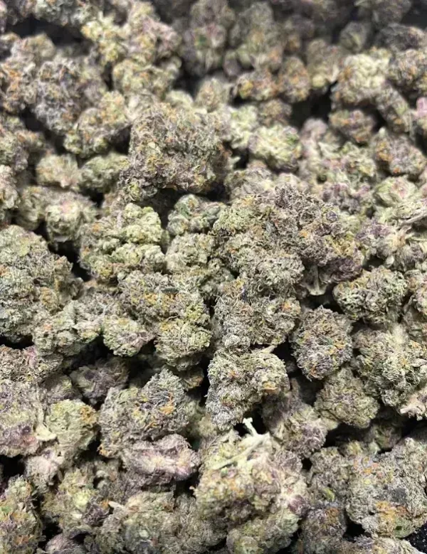 Sherbanger THCa Flower Hybrid