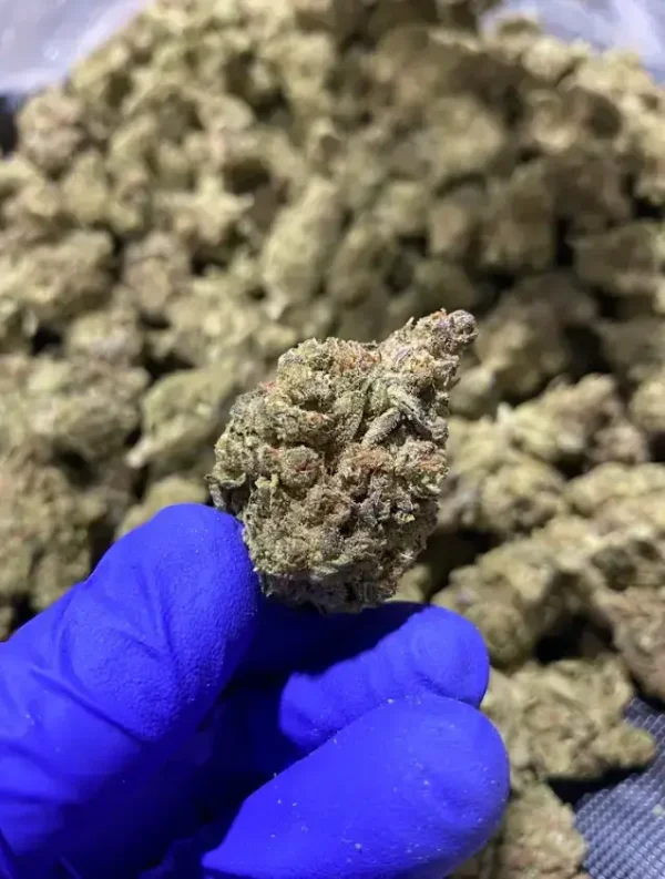 Billy Kimber THCa Flower Indica