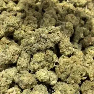 Gary Payton THCa Flower Hybrid