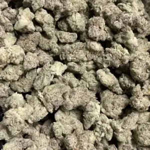 Key Lime Pie THCa Flower Indica