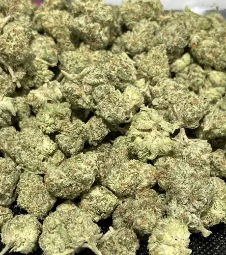 Oreoz THCa Flower Hybrid