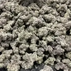 Music City Kush - 30.52% THCa - PR - Image 1