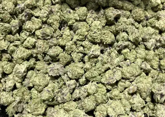 Maui Wowie THCa Flower Sativa