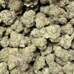Pineapple Express — Sativa Strain — THCa Flower — 36.04% — PR - Image 2