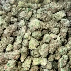 Frosty (S)