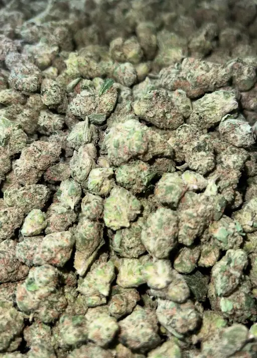 Frosty (S) Frosty (S)