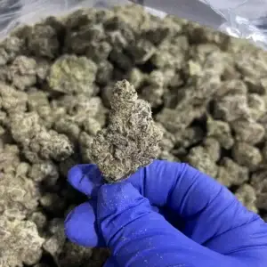 Pink Pineapple THCa Flower Sativa