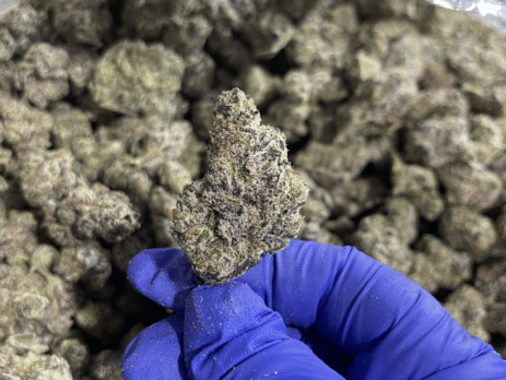 Pink Pineapple THCa Flower Sativa