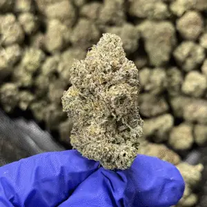 Presidential Kush THCa Flower Indica