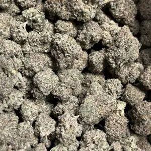 Presidential Kush THCa Flower Indica