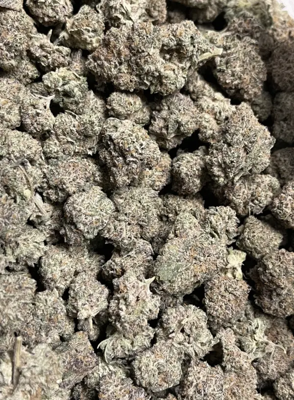 Presidential Kush THCa Flower Indica