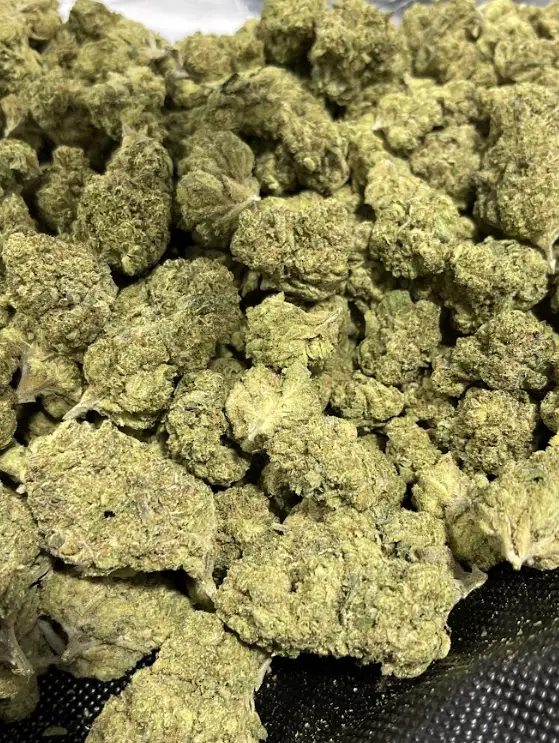 Slurricane THCa Flower Indica