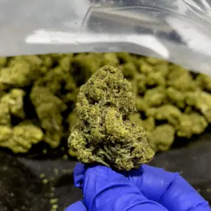 Slurricane THCa Flower Indica