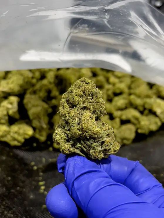 Slurricane THCa Flower Indica