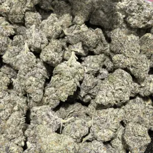 Jet Fuel Runtz THCa Flower Sativa