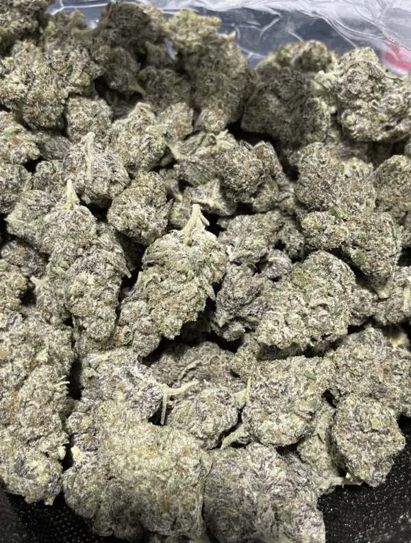 Jet Fuel Runtz THCa Flower Sativa