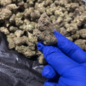 Blueberry Octane Smalls THCa Flower Hybrid