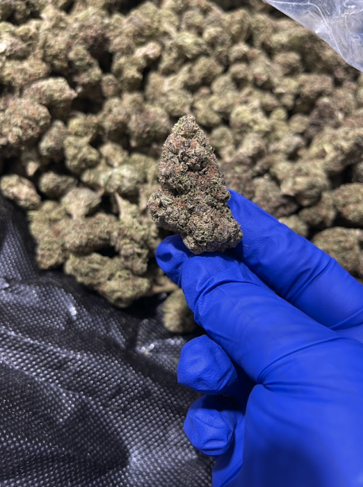 Blueberry Octane Smalls THCa Flower Hybrid