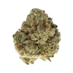 Secret Cookies THCa Flower Indica