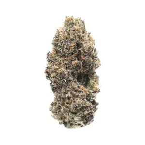 Alabama Slamma - Indica Strain - High THCa Flower - 37.24% - Private Reserve @ FrostyClub.com Wholesale - Fast Shipping!