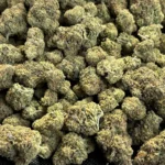 Alabama Slamma - Indica Strain - High THCa Flower - 37.24% - Private Reserve @ FrostyClub.com Wholesale - Fast Shipping!