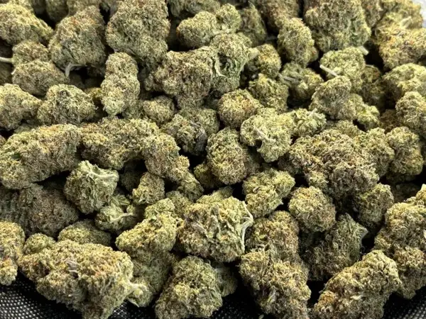 Alabama Slamma - Indica Strain - High THCa Flower - 37.24% - Private Reserve @ FrostyClub.com Wholesale - Fast Shipping!