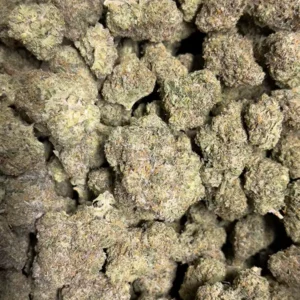 Alabama Slamma - Indica Strain - High THCa Flower - 37.24% - Private Reserve - Image 3