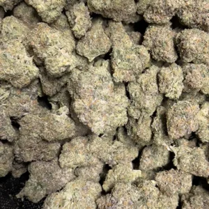 Alabama Slamma - Indica Strain - High THCa Flower - 37.24% - Private Reserve - Image 5