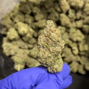 Alabama Slamma - Indica Strain - High THCa Flower - 37.24% - Private Reserve @ FrostyClub.com Wholesale - Fast Shipping!