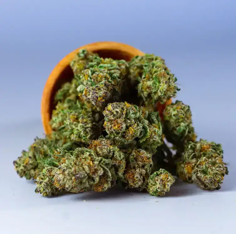 The Texas State flag with  giant cola of growing cannabis, and the placard - Buy Wholesale Texas THCa Flower Your Ultimate Guide for Retail Success @ FrostyClub.com BLOG  - Best  Wholesale THCa Flower!