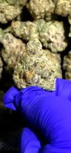 Cheetah Breath – Hybrid Strain – THCa Flower – 37.39% – Private Reserve @ FrostyClub.com