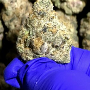 Cheetah Breath – Hybrid Strain – THCa Flower – 37.39% – Private Reserve @ FrostyClub.com