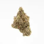 Crazy Hazey THCa Flower Sativa