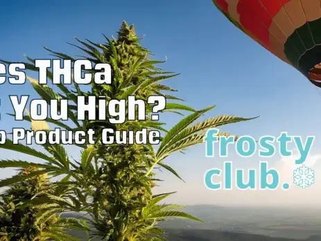 Does THCa Get You High? Hemp Product Guide @ FrostyClub.com