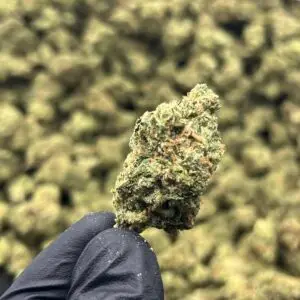 Durban Haze THCa Flower Sativa