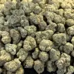 Gas Face THCa Flower Indica