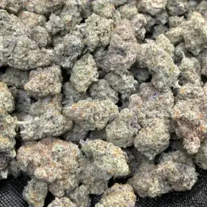 Waffle Haus — Hybrid Strain — THCa Flower — 41.00% — Private Reserve - Image 3